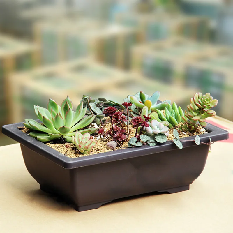 WHISM Mini Plastic Flower Pots Rectangle Vase Succulent Plant Pot