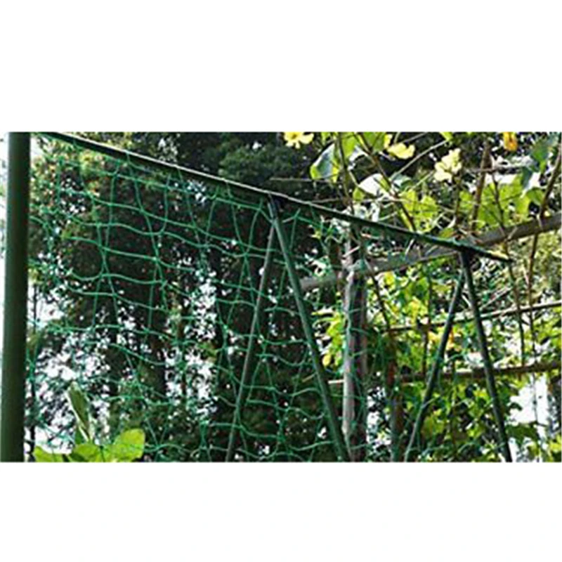 Садовая зеленая нейлоновая овощная сетчатая шпалера для поддержки растений сетки фасоли растение скалолазание выращивание забор анти-птица сеть