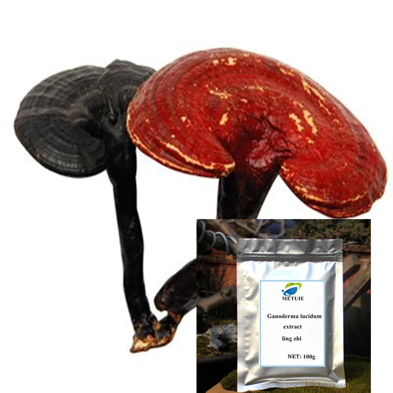 

High Quality Ganoderma Lucidum Reishi Mushroom Extract Powder ling zhi Ganoderma lucidum extract Good quality, free shipping