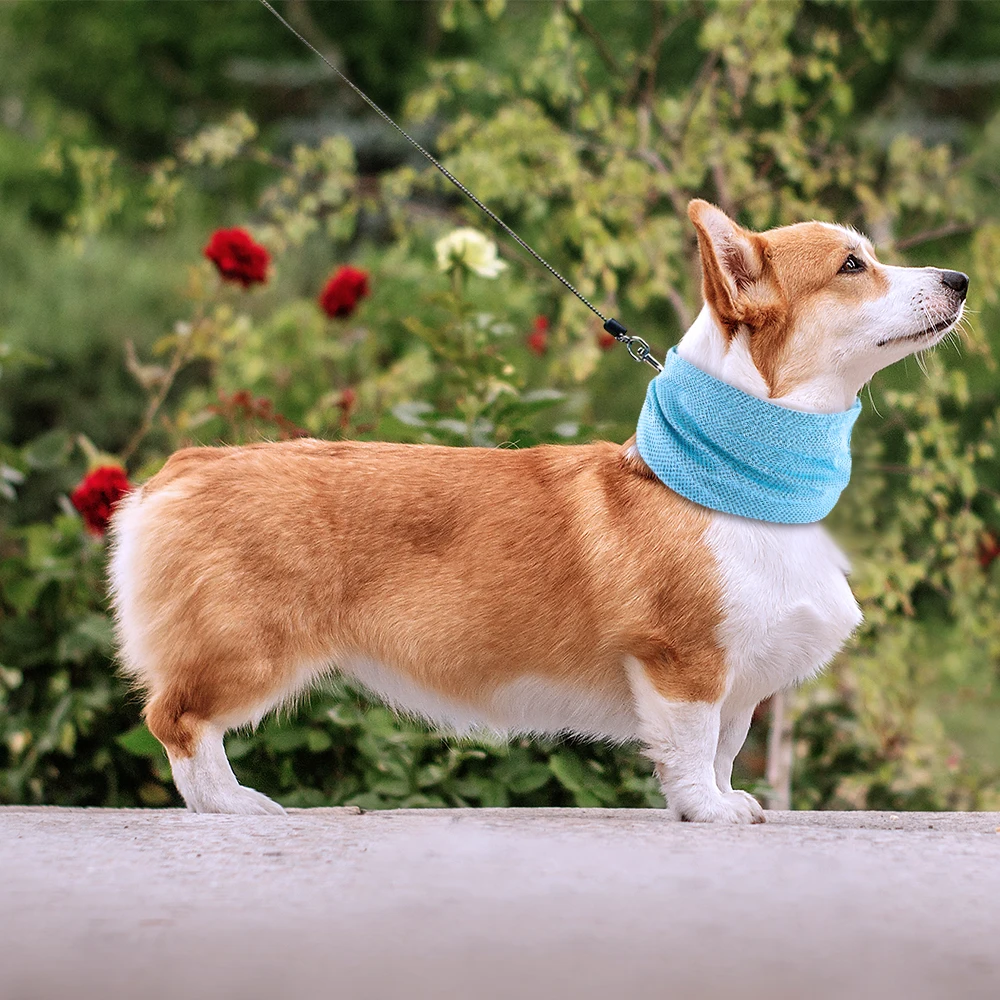 Title 9, Summer Dog Pet Cooling Bandana Collar Sunstroke...