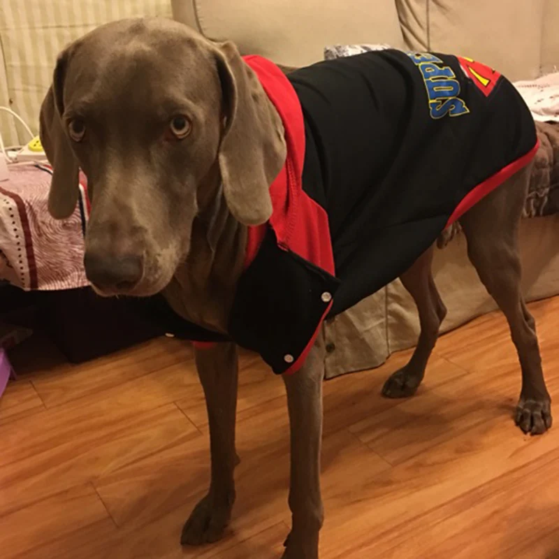 TB2QGgsa3xlpuFjSszgXXcJdpXa_!!0-rate