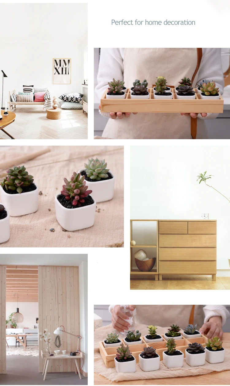 3811732367_675057837