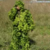 Outdoor Hunting Bird Watching Jungle Leaf Camouflage Ghillie Suits Light CS Shooting Training Breathable Tops Pants Set Clothing ► Photo 2/6