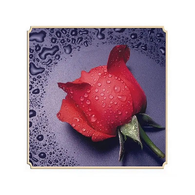 

5D Diamond Embroidery Paintings Rhinestone Pasted diy Diamond painting Cross Stitch Kits rose diamond mosaic Room Decor-F1FB