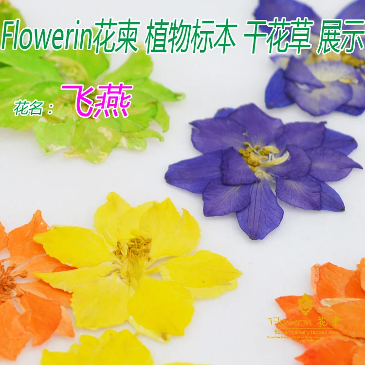 

Flower Invitation Feiyan Flowers _DIY Pressed Dried Flowers