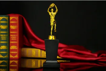 

World Cup Resin Gold Basketball Trophy Customized Sports Awards Competition Trophy Gift Plastic Trophy Plating