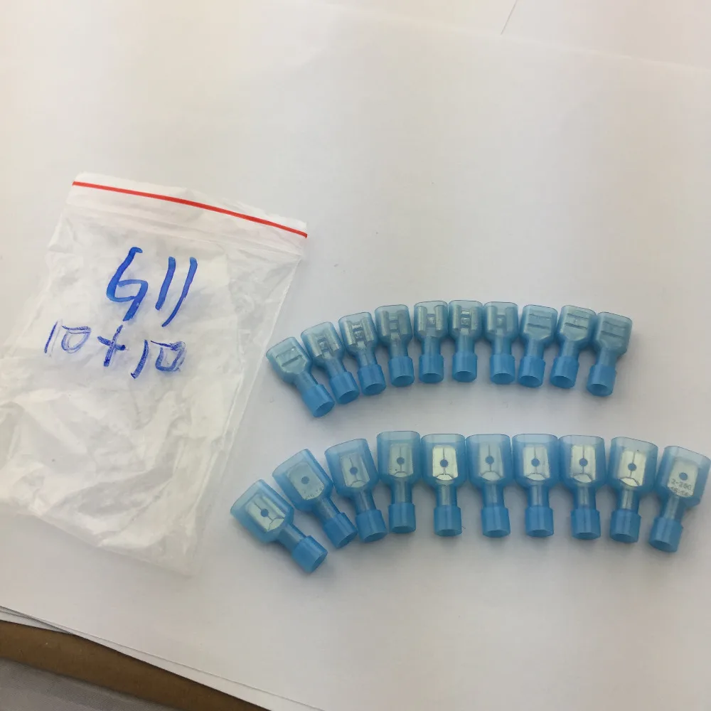 G11 (1)