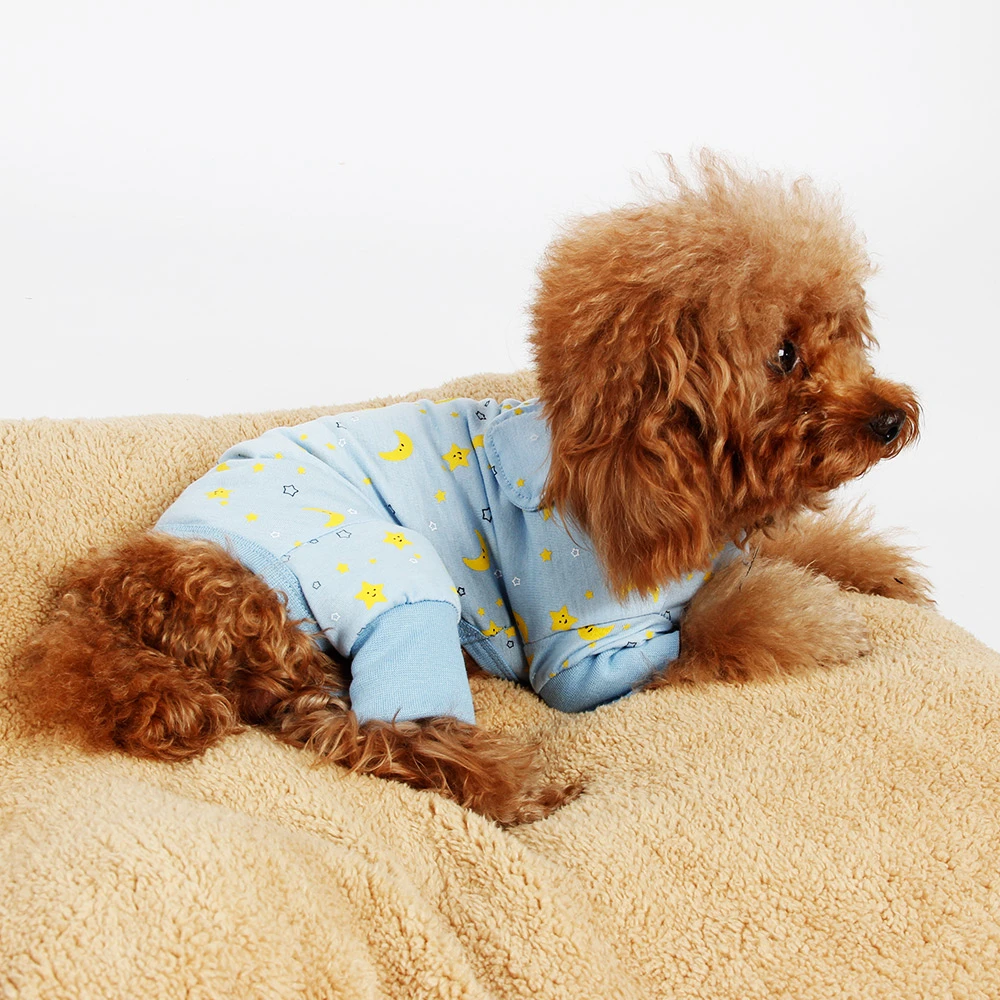 How Do I Ship A Dog To Germany