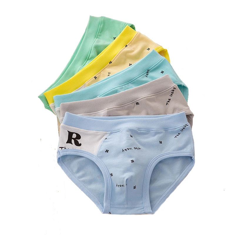 

boys Underwear 5pc/lot boy organic cotton cartoon shorts Student briefs boy underwear for 2-12 years high quality panties boys