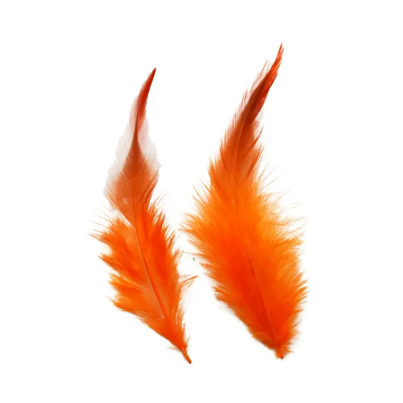 перышки петуха. перышко курицы. петушиное перо. перышки петуха. разноцветные перышки для петушка.