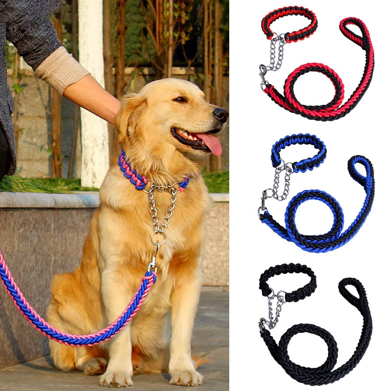 dog collar colors