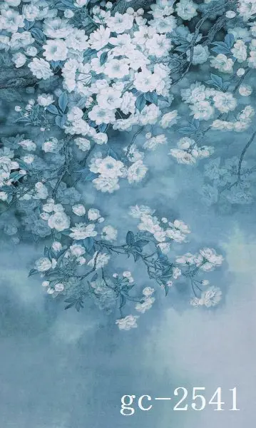 

5x10ft Vinyl Custom Photography Backdrops Props Photo theme Backgrounds GC-2541