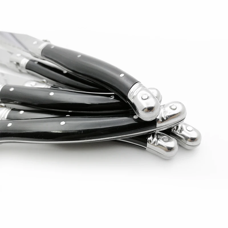 laguiole steak kinfe black  (6)