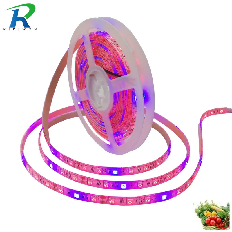 

RiRi won 5m LED Plant grow Lamp strip grow light Waterproof 5050 60leds/m DC 12V SMD Hydroponic Systems spectrum Greenhouse