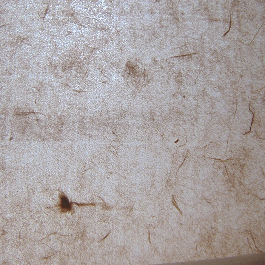 69*138 см ручная работа Китайская рисовая бумага античный натуральный белый Yunlong xuan zhi живопись, каллиграфия художественные принадлежности