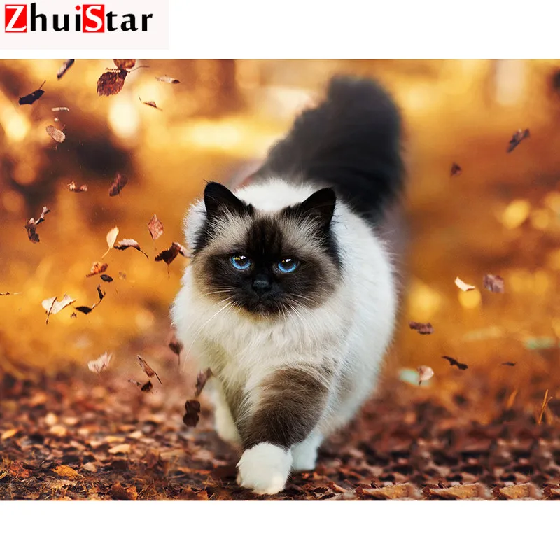 

5D DIY Diamond Painting Full Display animal white cat Diamond Embroidery Full Square Mosaic Picture Of Rhinestone Decor XY1