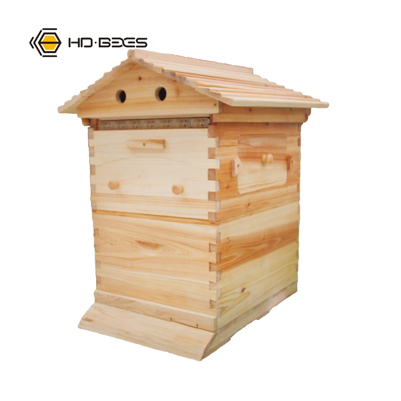 

Bee Keeping Auto Flow Hive Apicultura Beehive for Beekeeper Tools Bees and Beekeeping