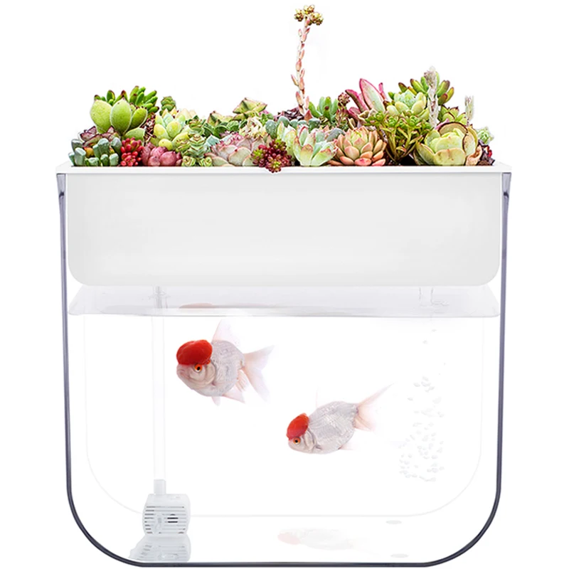 

Novice Ultra Clear Plastic Fish Tank Aquaponic Betta Fish Bowls Desktop AquaView Ecological Aquarium for Indoor Decoration
