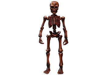 

Obitsu dolls produced in Japan folk style Re-ment elegant skeleton joint movable Siwan model of small Mr bones doll