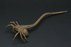Аксессуар Хищник Звездный зверь личинка для 6 &quotфигуры|alien predator|predator figurealien figure |