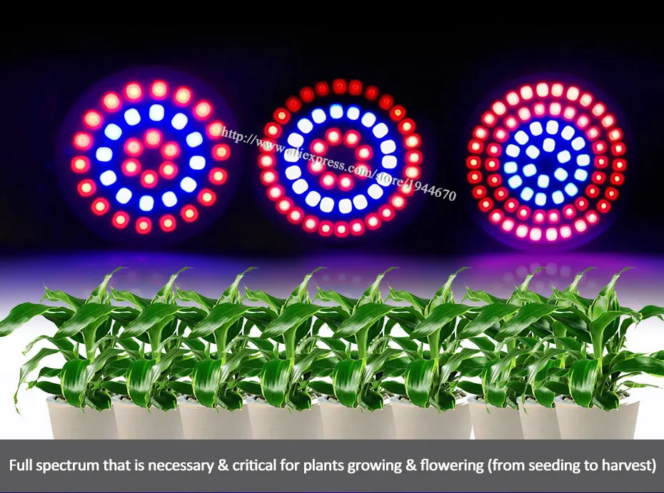 2.led lamp for plants