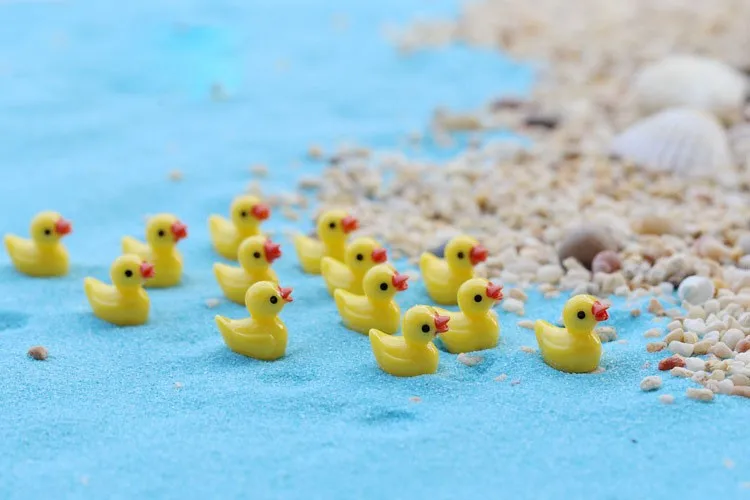 1595958810_1198909629