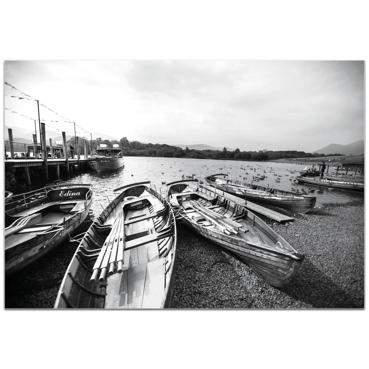 Row of Rowers by Meirav Levy - Black & White Photography on Plexiglass
