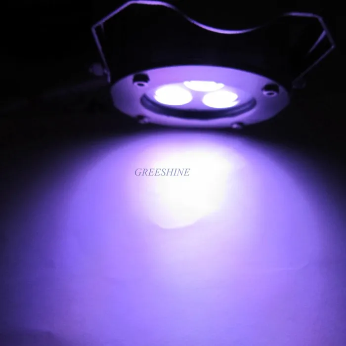 GSU-A030313