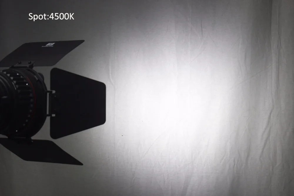 Spot4500K