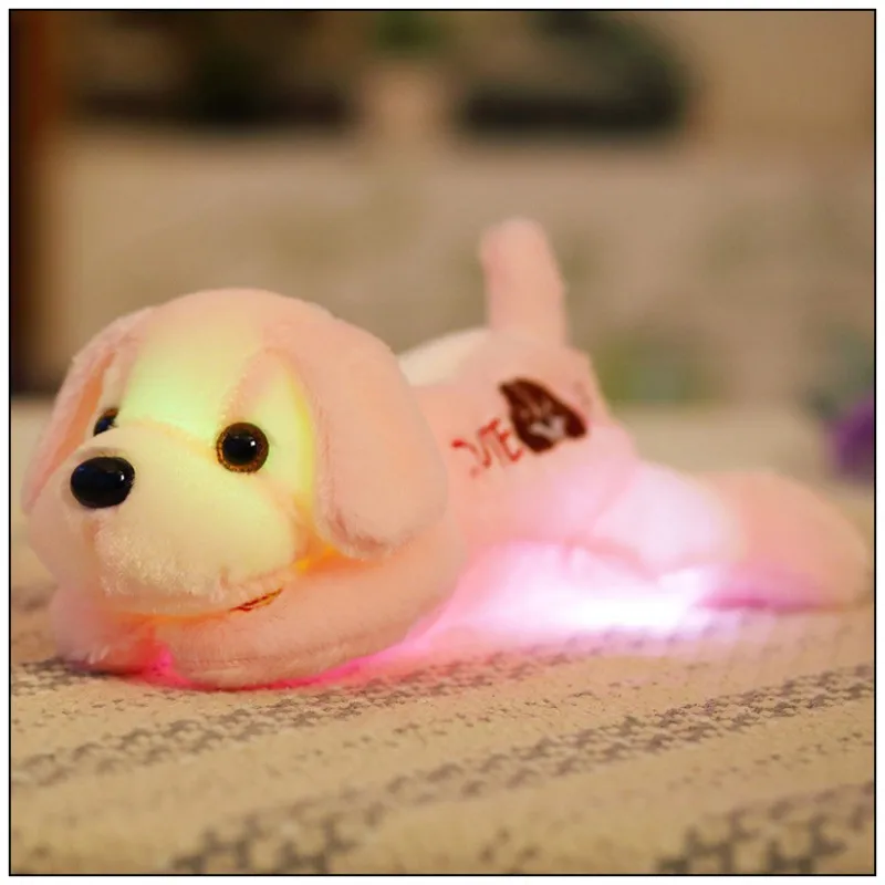 conew_aa9219-10