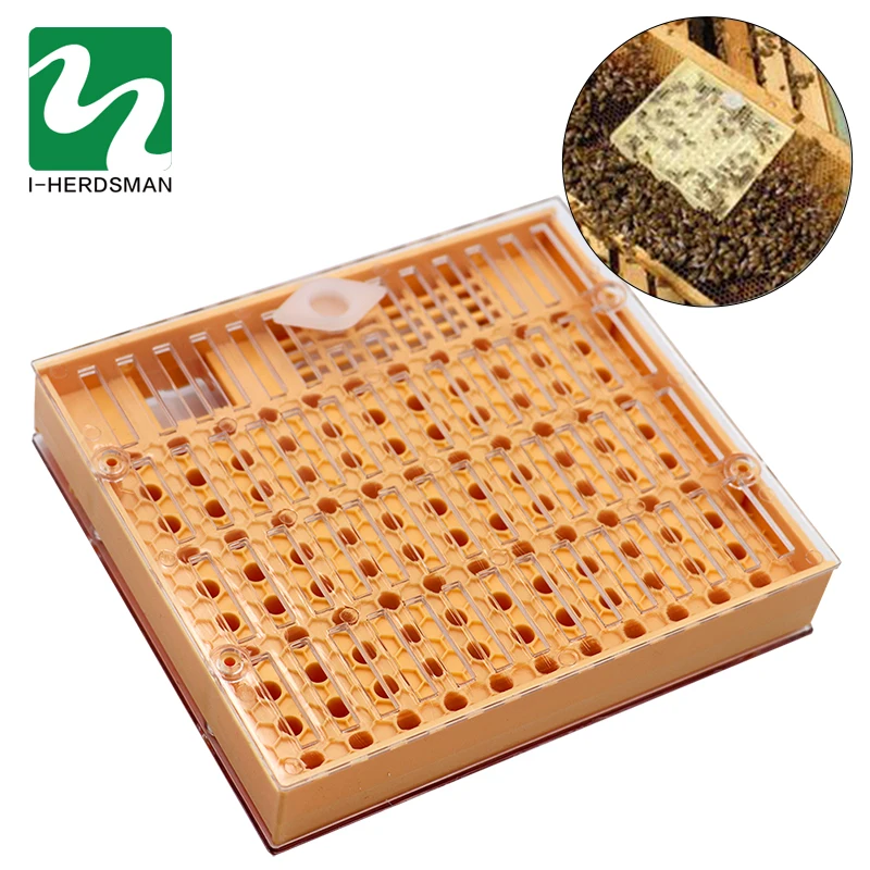 

Arrival 1PC Plastic Rearing Queen Bee System Plastic Box For Professional Beekeeper Beekeeping Equipment Tools