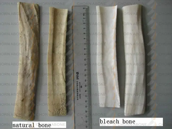 bone folder-22