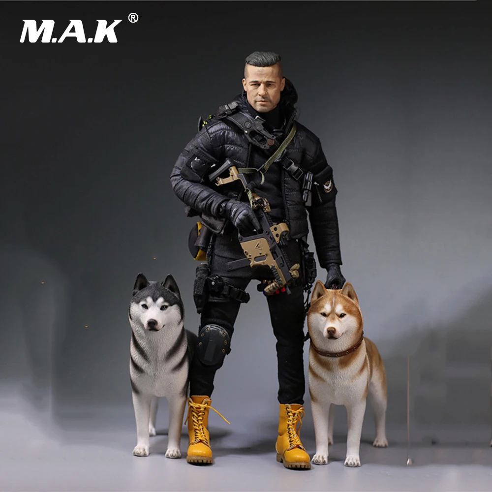 dog birthday gift box