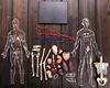 Anime 4D Master Vision 13