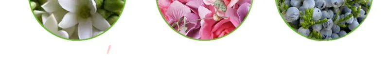 HTB1xFl3X5nrK1Rjy1Xcq6yeDVXaJ