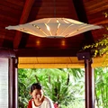 Bambus Wohnzimmer Lichter Restaurant Lampe Chinesischen Stil Holz Lampen Furnier Esszimmer Lichter|Pendelleuchten| -
