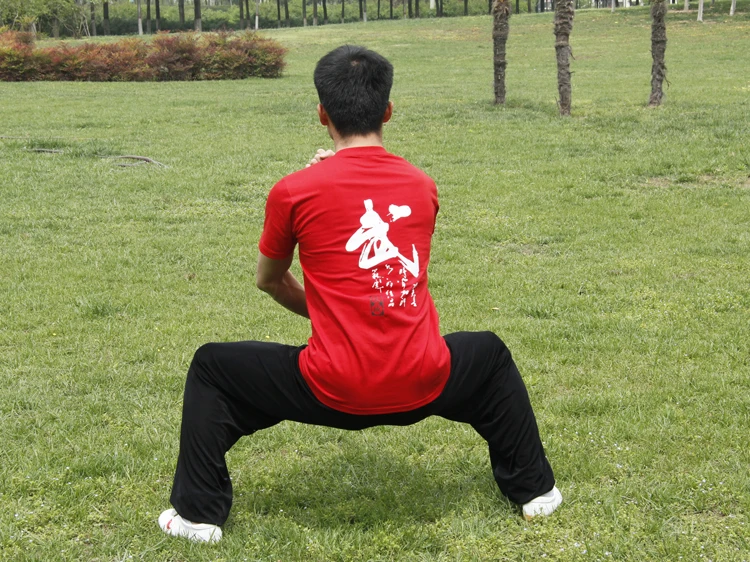 Cotton Martial Arts Uniforms New martial arts t-shirts Wu word T-shirt Short Sleeves Chinese Wushu Association
