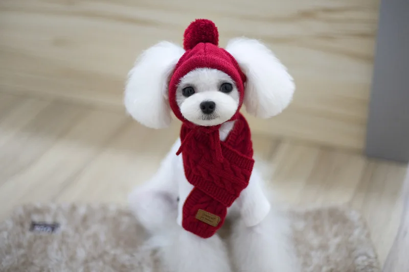 

Sold by Set !Kawaii Pets Store Warm Woolen Lovely Dog Hats Adjustable Dog Scarf for Small Large Pets Cats Wholesale Winter