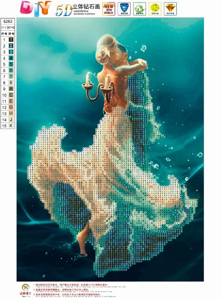 6263