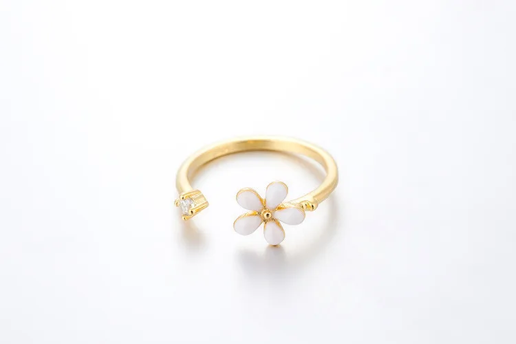 8177731086_1039125567