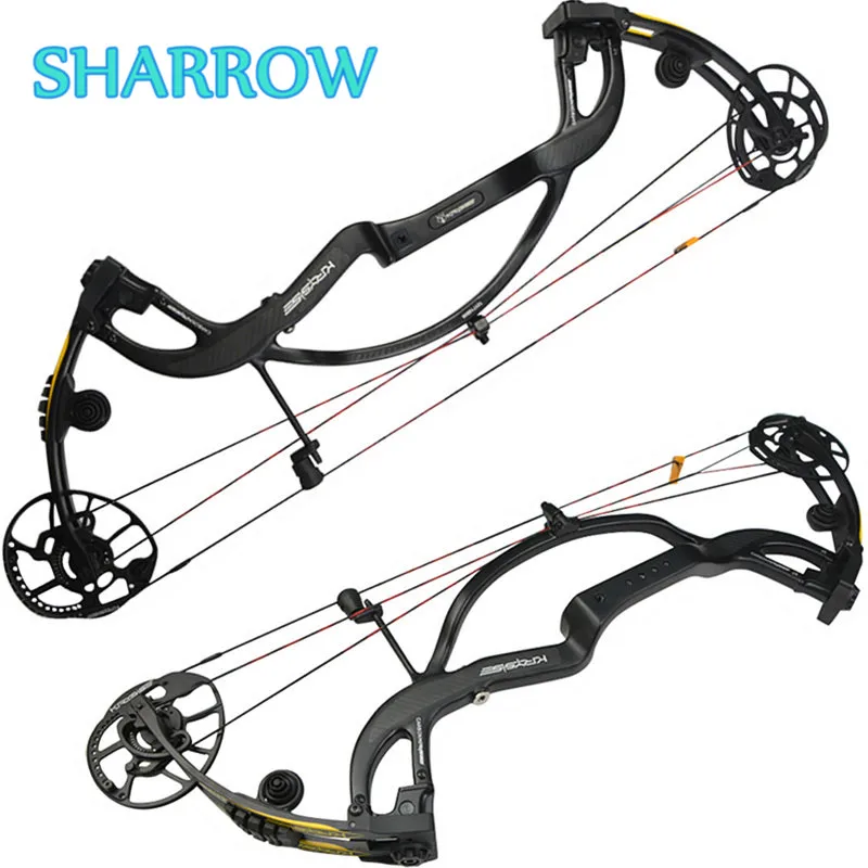 

1Set 50-65lbs IBO 330FPS Compound Bow Carbon Fiber Adjustable Compound Bow For Outdoor Archery Shooting Training Camping