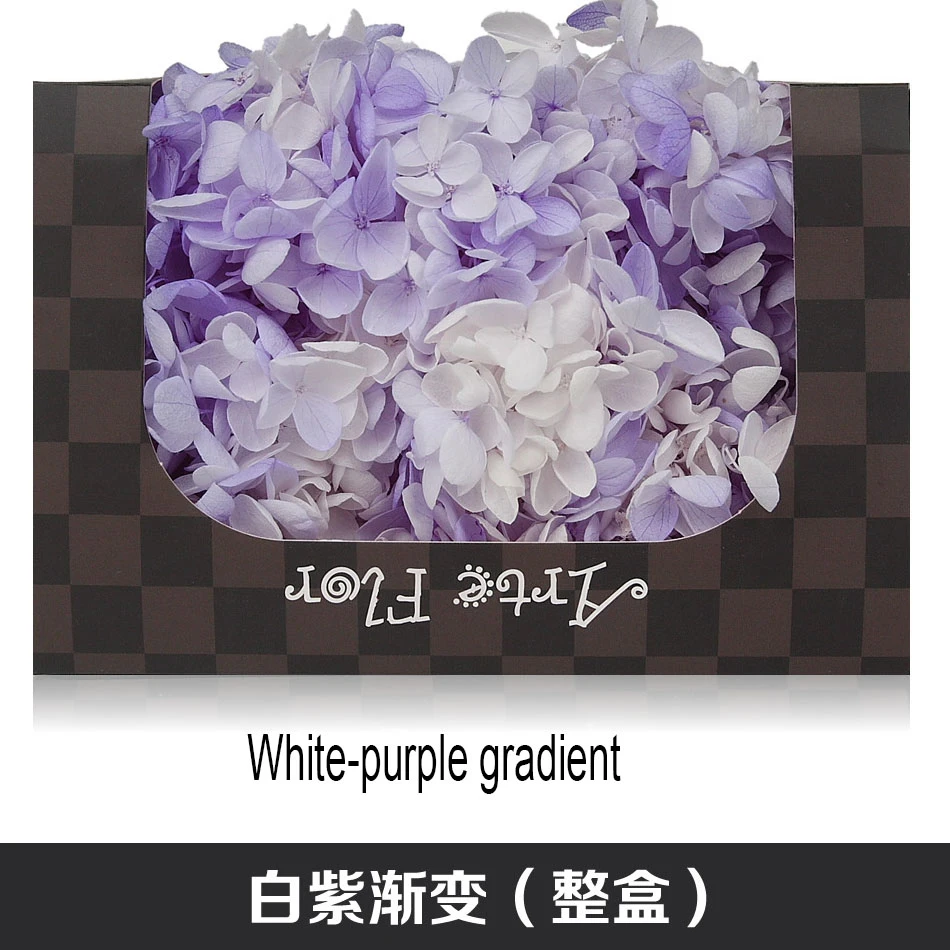 20g/lot High Quality Natural Fresh Preserved Flowers Dried Hydrangea Flower Head For Diy Real Eternal Life Flowers Material - Цвет: 12