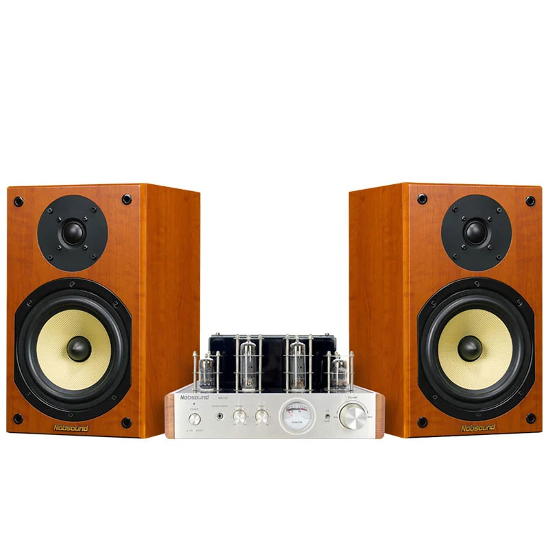 Nobsound CS1020 дерево 100 Вт 1 пара 6,5 дюймов книжная полка колонки 2,0 HiFi Колонка звук Bluetooth вакуумная трубка Встроенный усилитель - Цвет: Regular Version