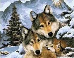Cioioil T062 Wolf семейство по снегу Раскраска номерам животное раскраска на