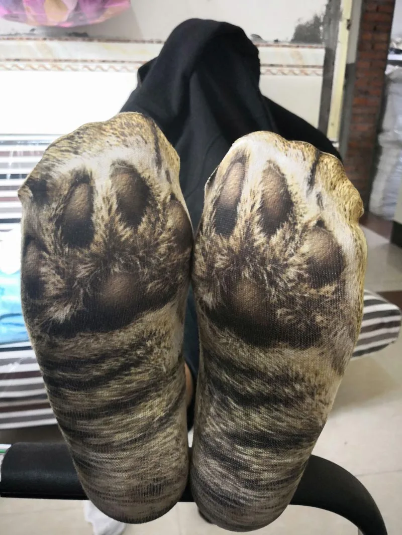 8656143720_740632927