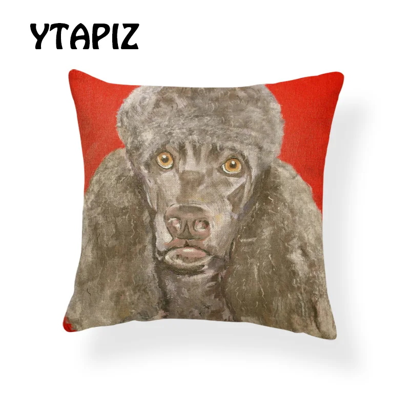 AB9166 (2) Irish Water Spaniel