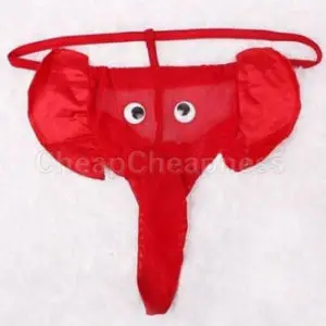 Men's Briefs Elephant Lingerie Leopard Thongs G-strings Sexy Underwear