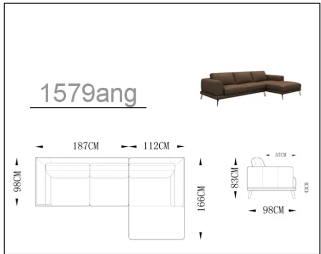 1579ang size