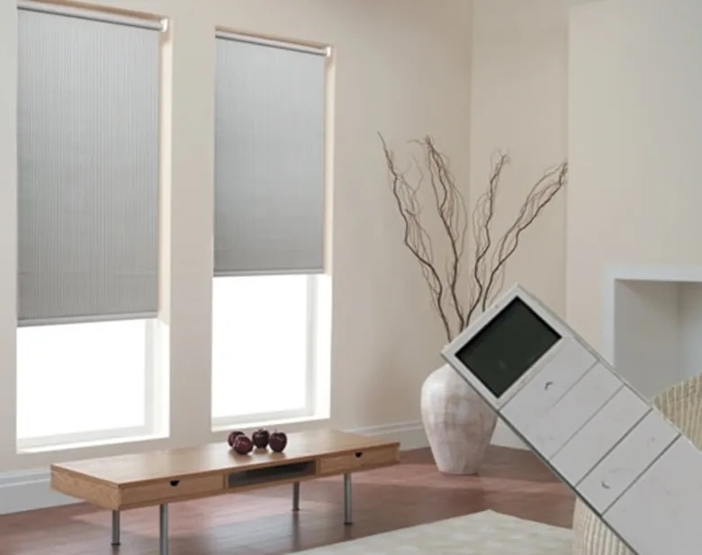 Quality Motorized roller blinds for customized size Free shippingin