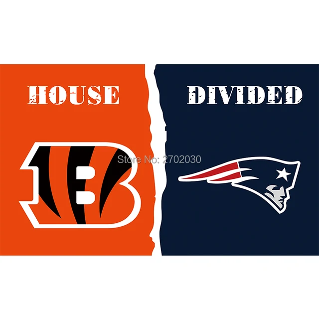 cincinnati bengals flag vs new england patriots super bowl champions